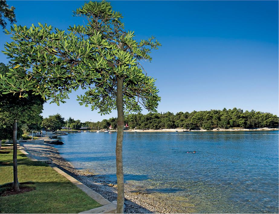 Hotel Zorna Plava Laguna Poreč Exterior foto